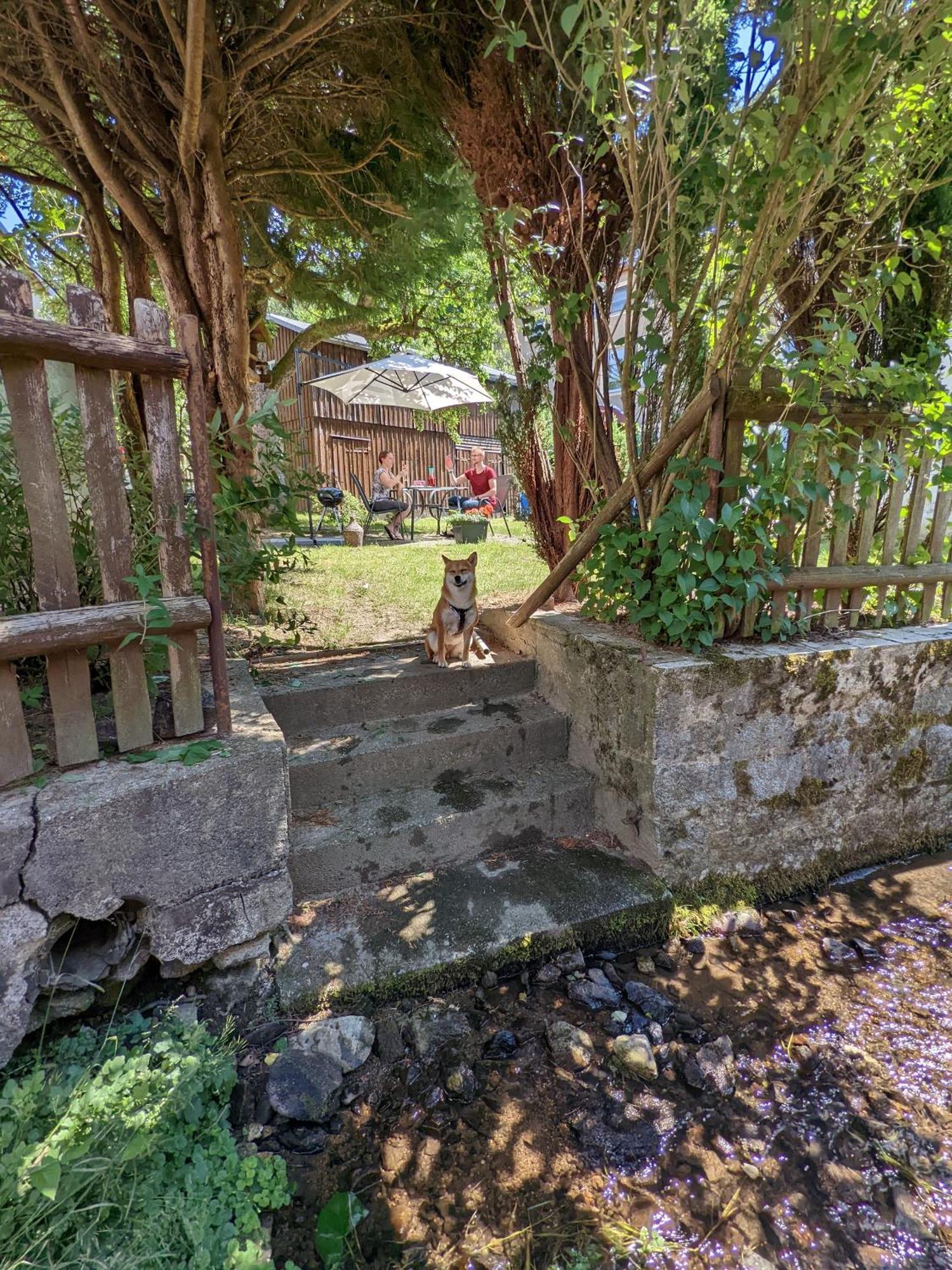 H2 - Urlaubsmagie - Garten, Pool, Terrasse, Grill 赛博尼茨 外观 照片