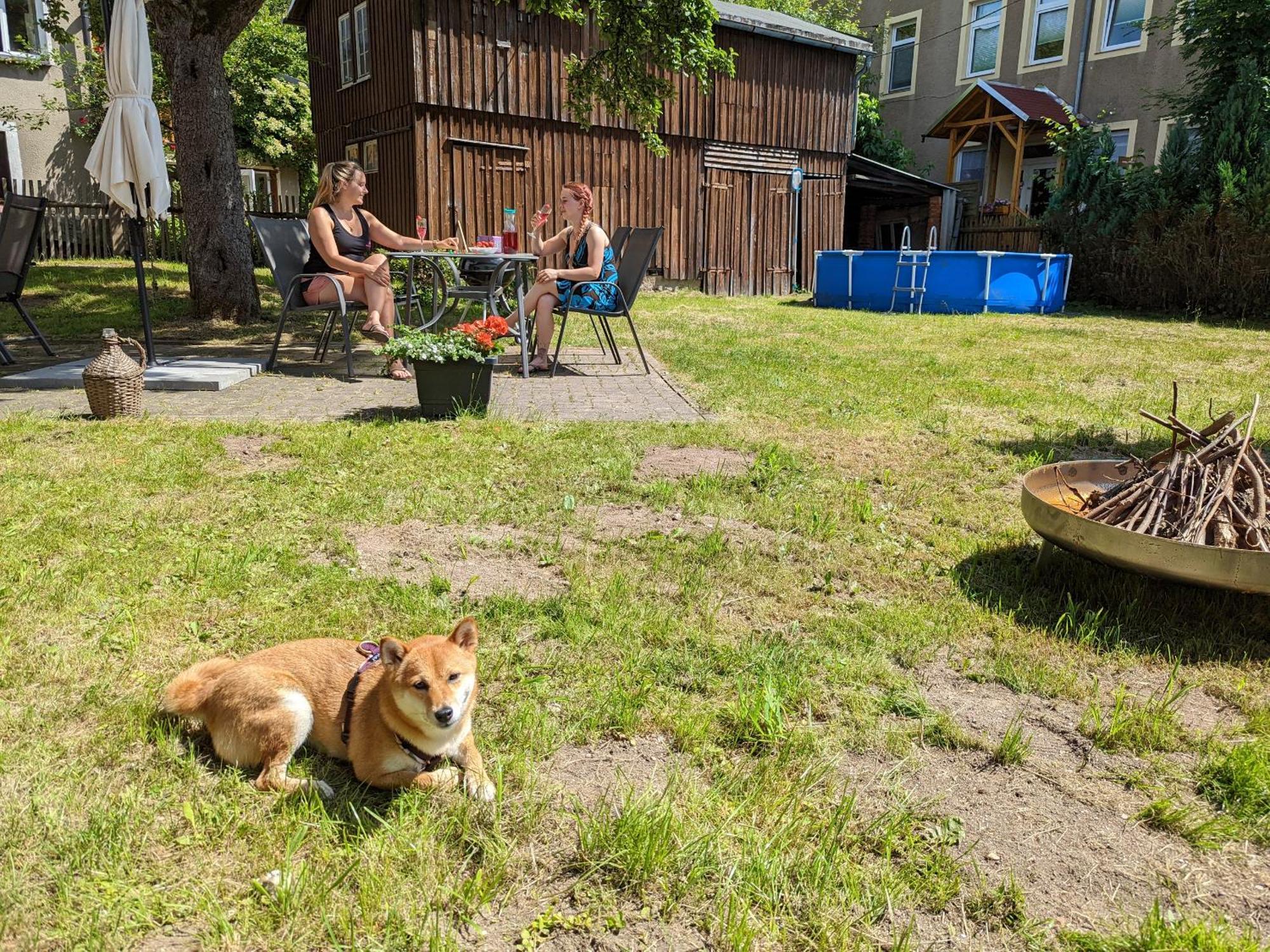 H2 - Urlaubsmagie - Garten, Pool, Terrasse, Grill 赛博尼茨 外观 照片